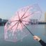Transparent Flower Design Folding Umbrella For Girls - Umbrella image