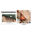 Travel Master Sen Series Ins Contrast Color Backpack image