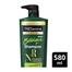 Tresemme Shampoo Botanique Nourish And Replenish 580ml Get Tresemme Conditioner 190ml FREE image