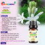 Tuberose (Rajonigandha) Essential oil -10ml image