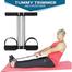 Tummy Trimmer Double Spring image