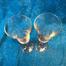 Two Bell Shaped Stemed Champaign Glasses image