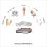 Tynor Coccyx Cushion Seat Universal Size 1 Pcs image