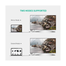 UGREEN 10221 DP Male to DVI Male Cable 2m (Black) DP103 image