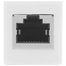 UGREEN 20311 RJ45 Network Keystone Jack Inline Coupler Female to Female 1pcs (White) NW114 image