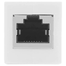 UGREEN 20390 RJ45 Network Keystone Jack Inline Coupler Female to Female 1pcs (Black) NW114 image