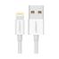 Ugreen US155-20728 USB-A Male to Lightning Male Cable. image
