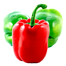 United Seeds Red And Green Hybrid Capsicum Seeds Re-Pack - 6pcs image