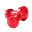 Vinyl Dumbbell 6 Kg With Pair - Red image