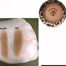 W7 The Bronzer Matte Powder image