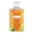 Watsons Citrus Party Gel Hand Wash Pump 500 ML Thailand image