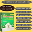 Weight Gain Vita Protein Supplement image