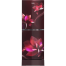 Whirlpool Fresh Magic Pro 257L Inverter Floret Red Refrigerator image