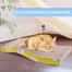 Whiskas Cat Scratching Board Mat with Catnip Scratcher for Kitten, Cat and Pet image