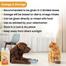 Wicoat Syrup Multi Vitamin And Coat Tonic For Cats And Dogs 250ml image