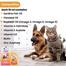 Wicoat Syrup Multi Vitamin And Coat Tonic For Cats And Dogs 250ml image