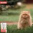 Wiggles Eraditch Spot on for Cats Fleas Ticks Remover Treatment Drops 0.5ml image