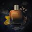 Wild Stone - Cigar Eau De Parfum for Men, Spicy and Woody Long Lasting Perfume for Men |Premium Perfume| EDP - 100ml image