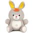 Winfun Play-with-Me Dance Pal - Bunny image