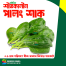 Winter Palong Shak Seeds 200 Pcs image