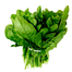 Winter Palong Shak Seeds 200 Pcs image