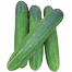 Winter Queen 12 Pata Cucumber Seeds (Re-pack) - 20 pcs image