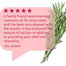 Wishcare Rosemary Essential Oil 100 Percent Pure 15 ml image