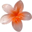 Women Beach Vacation Bohemia Egg Flower Hair Clips Flower Large Hair image