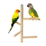 Wood Stairs Swing Pet Bird Perch Play For Bird Toy 1pcs image