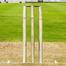 Wooden Cricket Stumps 1 Set Light image