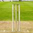 Wooden Light Cricket Stumps 2 Set image