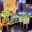 Wooden Plant Stand 3 Pcs Set, 6,7,8 Inch, Solid Mahogany Wood image