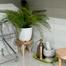 Wooden plant stand 7 inches, solid mahogany wood image