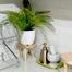 Wooden plant stand 8 inches, solid mahogany wood image