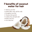 XHC Coconut Water Shampoo - 400 ml image