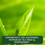 XHC Tea Tree Shampoo - 400 ml image