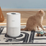 Xiaomi Smart Pet Care Air Purifier (Global) image