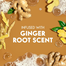 Xpel Ginger Anti Dandruff Conditioner - 400 ml image