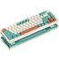 Zifriend Hot Swappable Anti Ghosting 2.4 G Wireless RGB Mechanical Keyboard Green Brown TNT Custom Linear Switch image