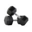  22.5 Kg Hex Dumbbell 1 Pair ( Total 45 Kg ) - Black image