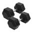  22.5 Kg Hex Dumbbell 1 Pair ( Total 45 Kg ) - Black image