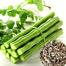 Hybrid Sajna Seeds ODC-3 Re-Pack Indian image