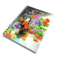  Hearts China 3D Notebook 240 image