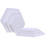  Hexagon shape canvas12 x 12 inch image