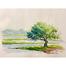 Tree Watercolor Painting - (16x13)inches image