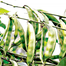  khato Jater Pari seem - 0.1gm image