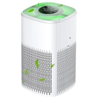 Air Purifier category image