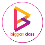 Biggan IT books