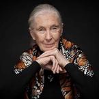 Jane Goodall books