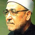 Sheikh Muhammad al-Ghazali al-Misri image